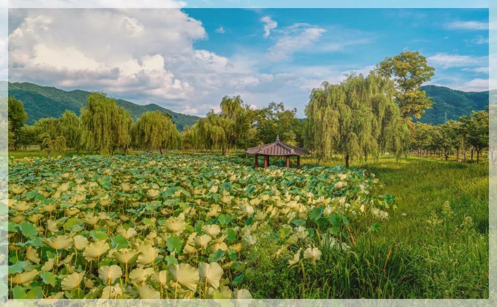 Korea travel reference photo