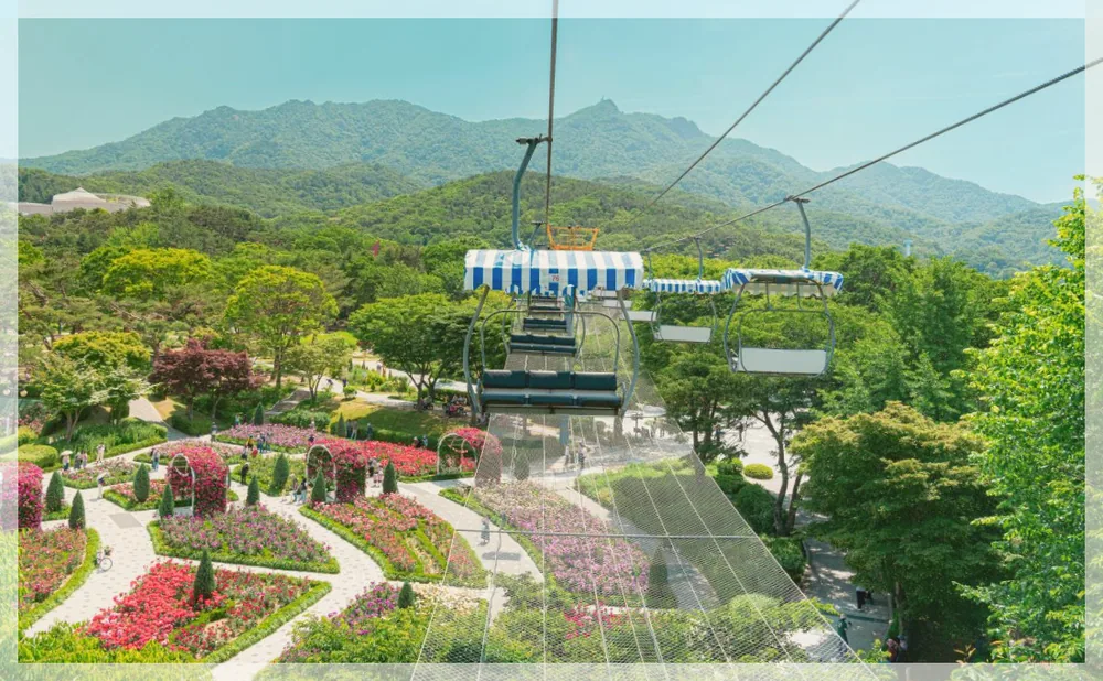 서울대공원 관광사진을 포스트 톤에 맞춰 보정한 이미지