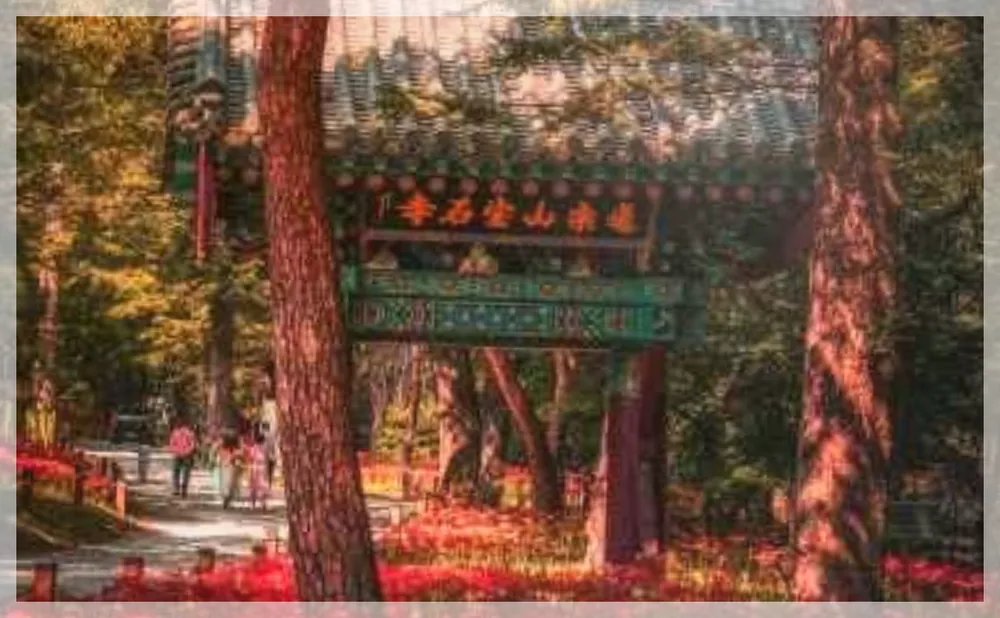 Korea travel reference photo
