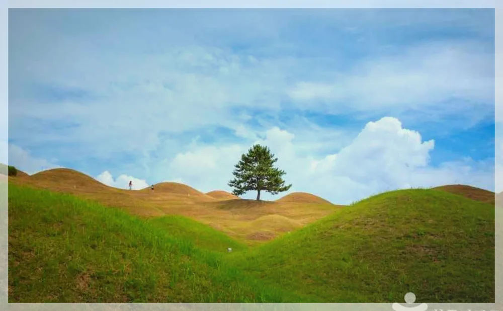 Korea travel reference photo