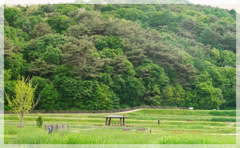 청주 상당산성 관광사진을 포스트 톤에 맞춰 보정한 이미지