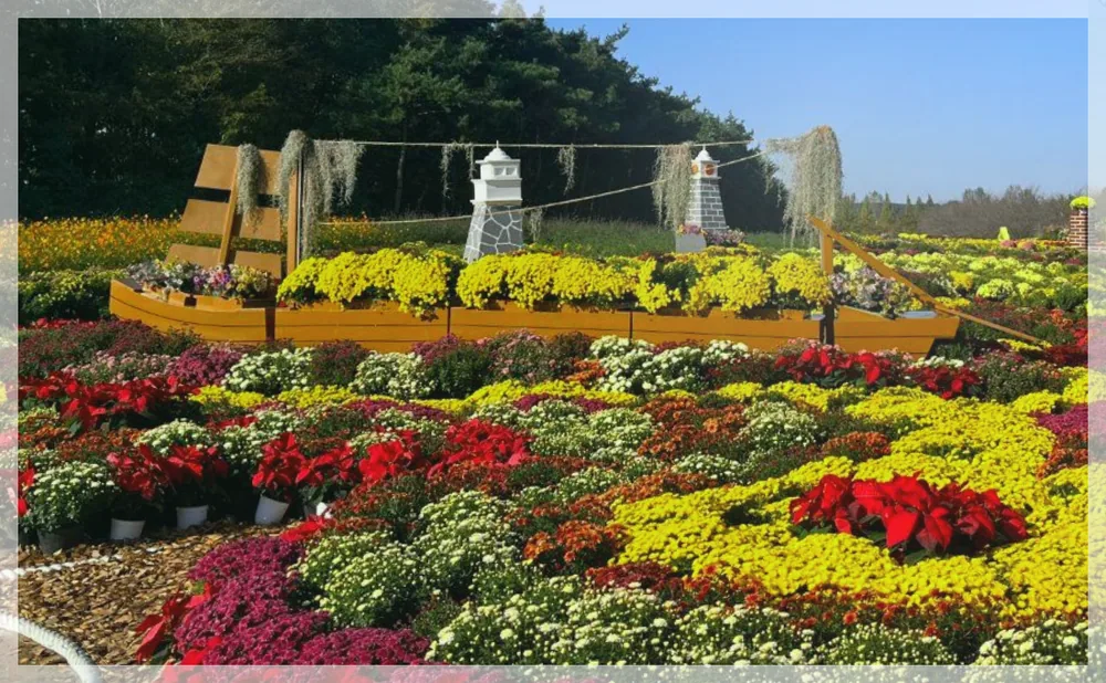 Korea travel reference photo