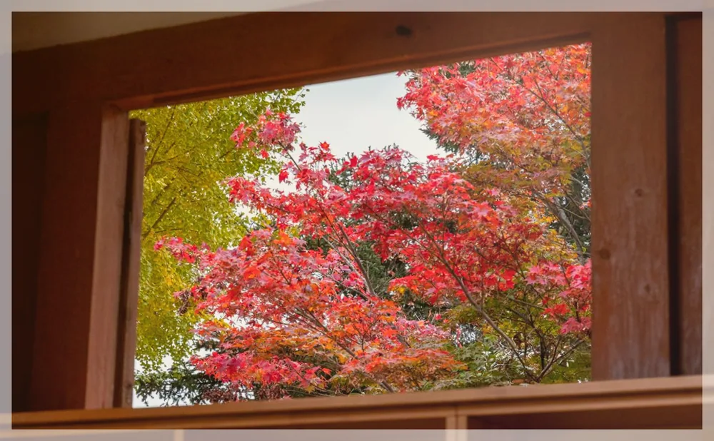 Korea travel reference photo