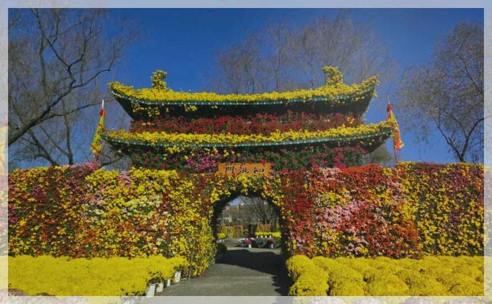 부여국화축제 공식 API 제공 축제 사진을 포스트 톤에 맞춰 보정한 이미지