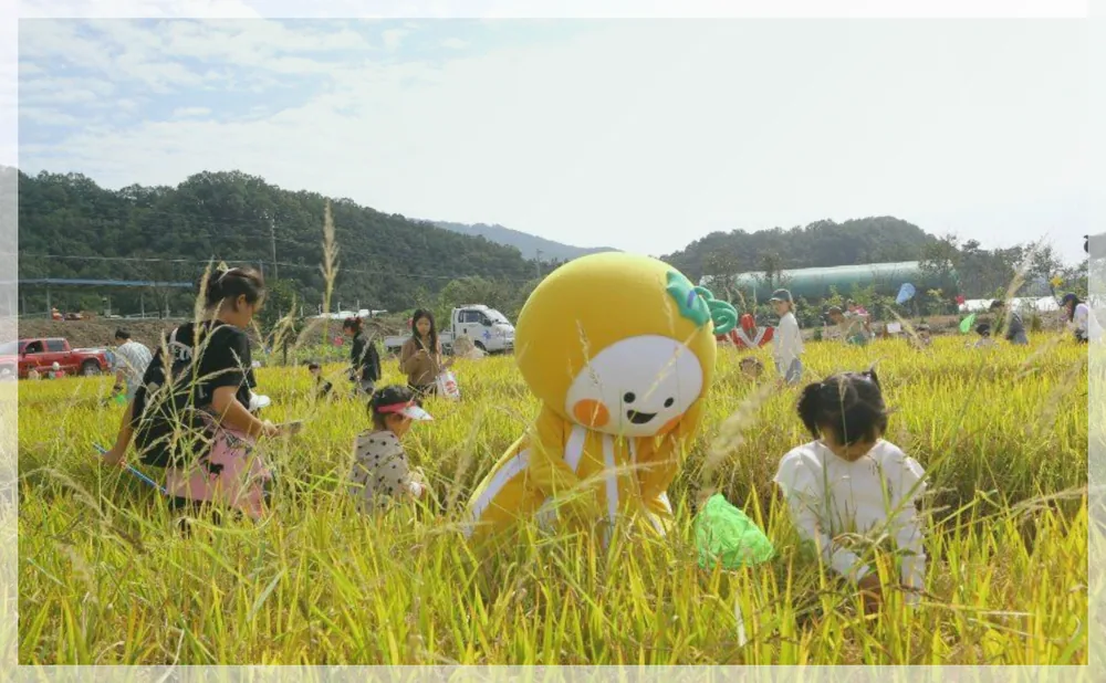성주가야산황금들녘메뚜기축제 공식 API 제공 축제 사진을 포스트 톤에 맞춰 보정한 이미지