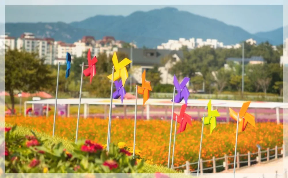 Korea travel reference photo