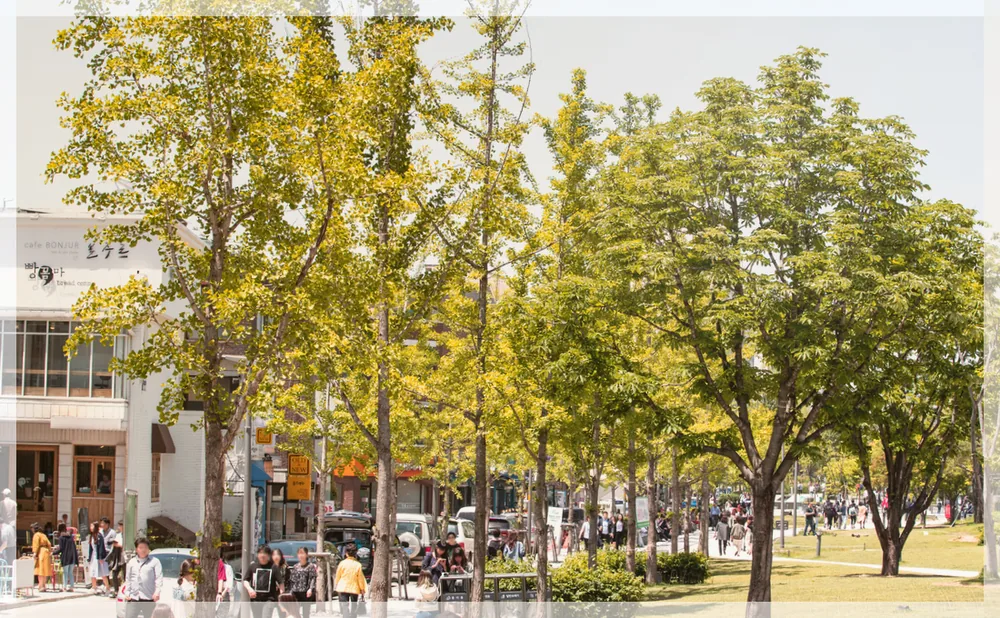 연남동 경의선숲길 관광사진을 포스트 톤에 맞춰 보정한 이미지
