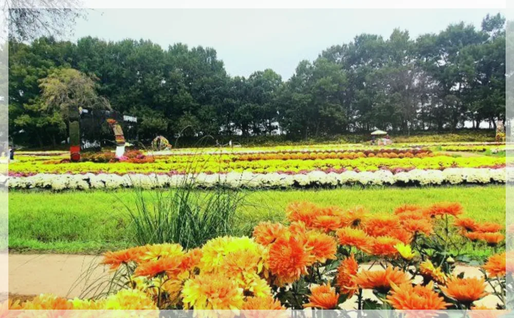 Korea travel reference photo