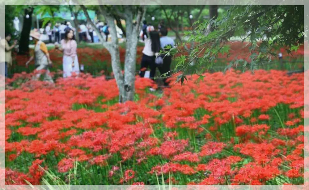 Korea travel reference photo