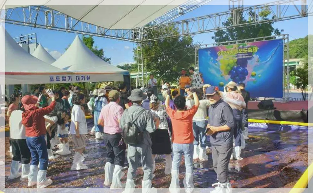 영동포도축제 공식 API 제공 축제 사진을 포스트 톤에 맞춰 보정한 이미지