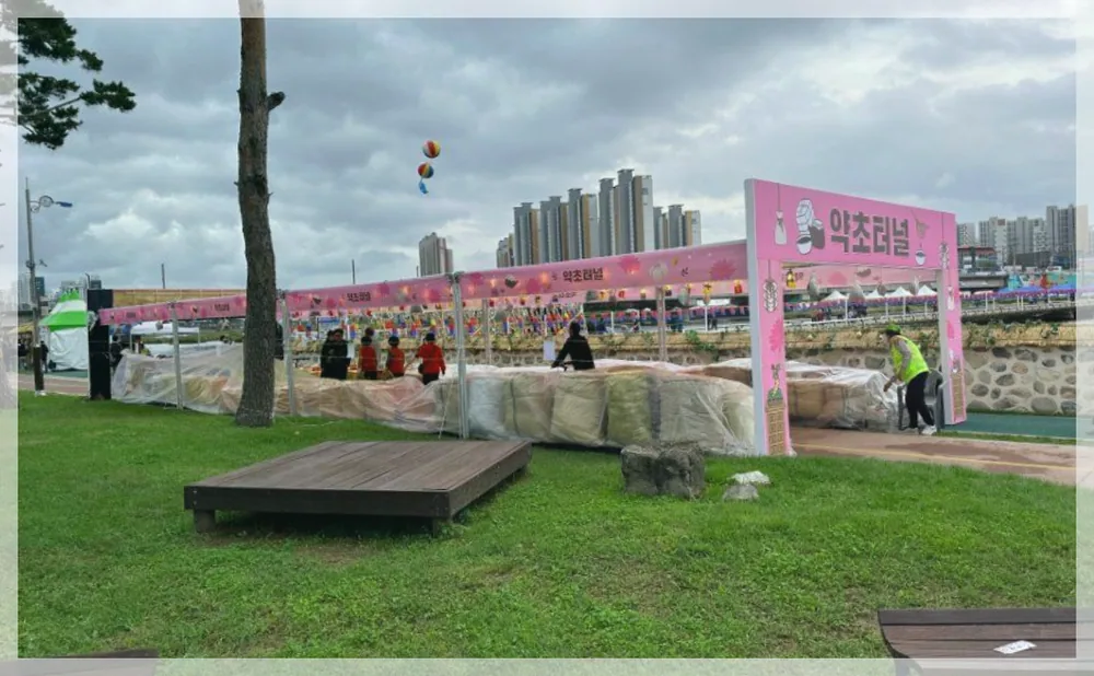영천한방축제 공식 API 제공 축제 사진을 포스트 톤에 맞춰 보정한 이미지