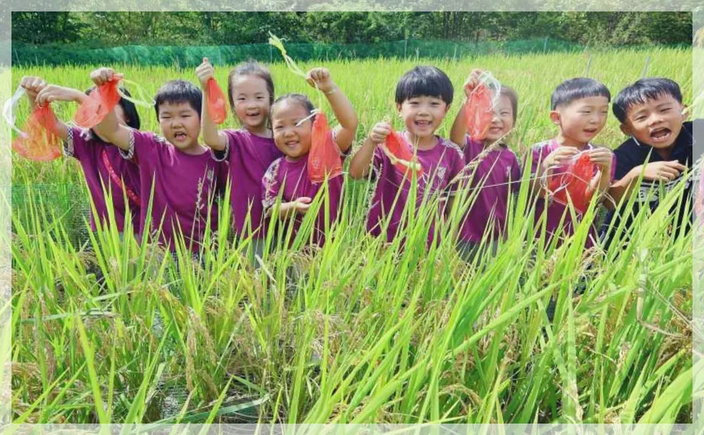 완주 와일드&로컬푸드축제 공식 API 제공 축제 사진을 포스트 톤에 맞춰 보정한 이미지
