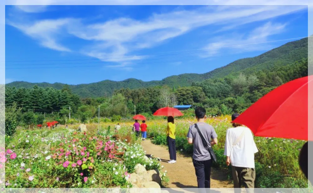 Korea travel reference photo