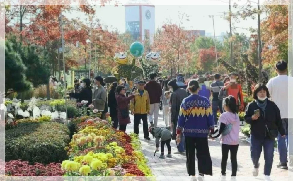 Korea travel reference photo