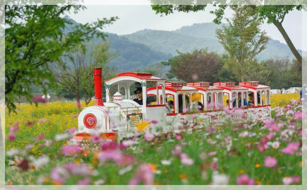 Korea travel reference photo