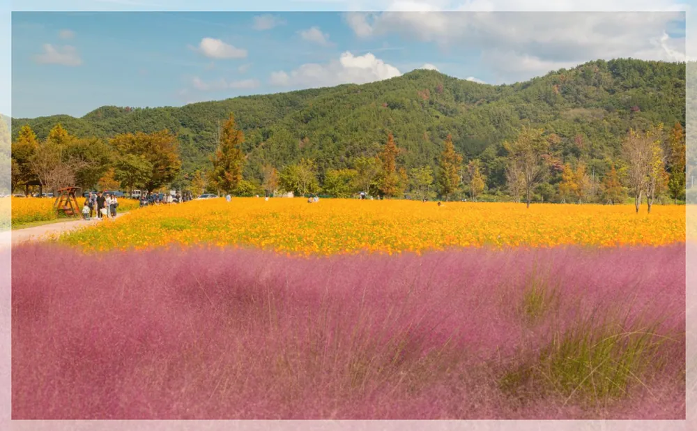 Korea travel reference photo