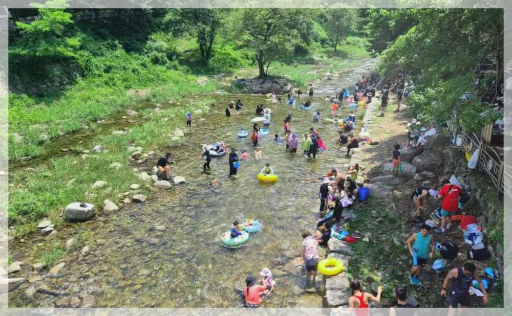 장수 쿨밸리 페스티벌 공식 API 제공 축제 사진을 포스트 톤에 맞춰 보정한 이미지