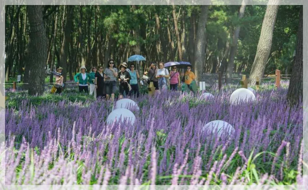 Korea travel reference photo