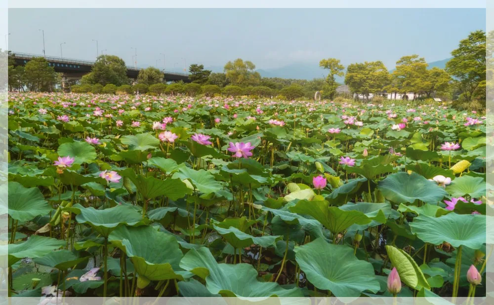 Korea travel reference photo