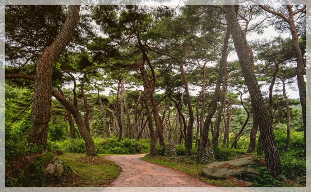 Korea travel reference photo