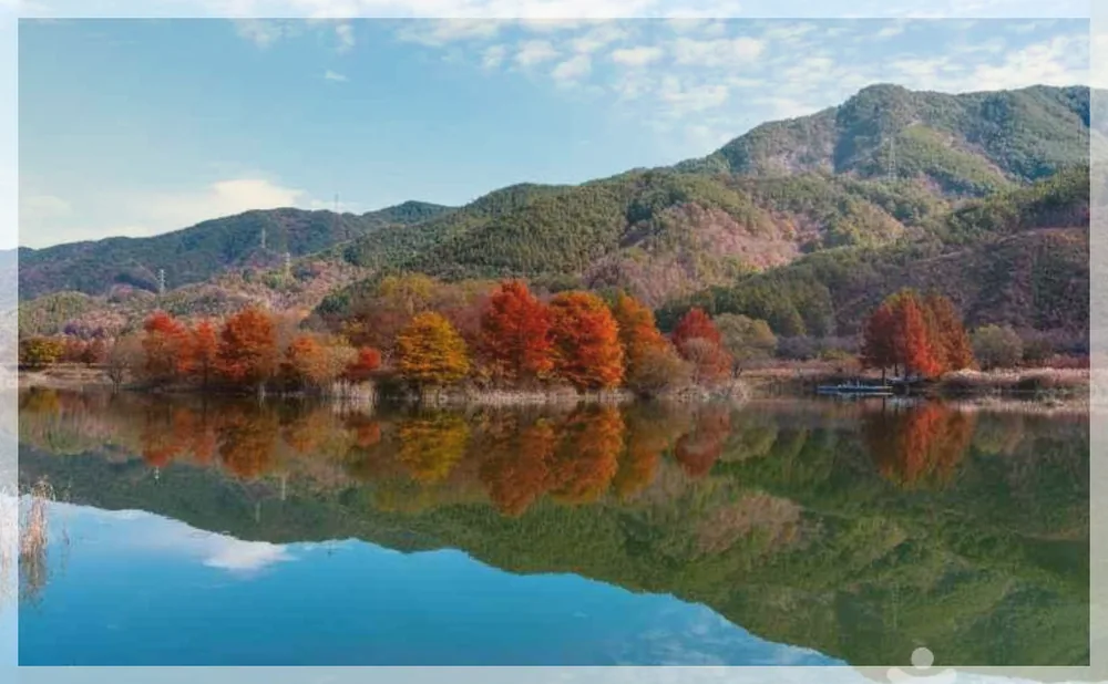 주천생태공원 관광사진을 포스트 톤에 맞춰 보정한 이미지