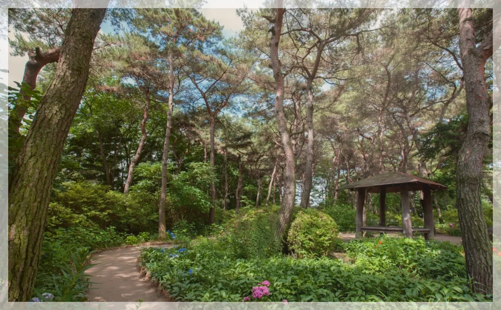Korea travel reference photo