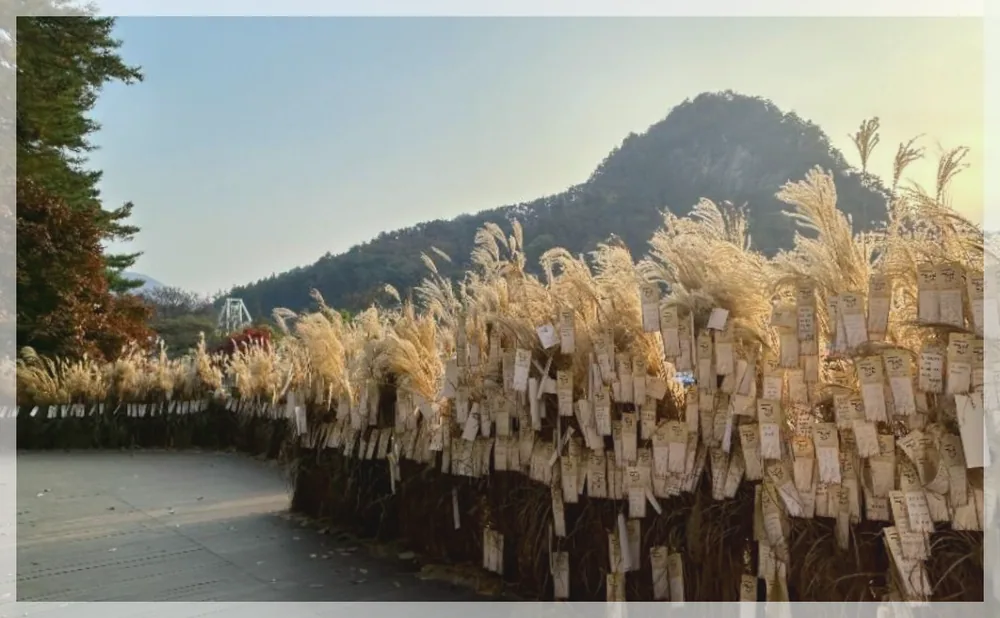 Korea travel reference photo