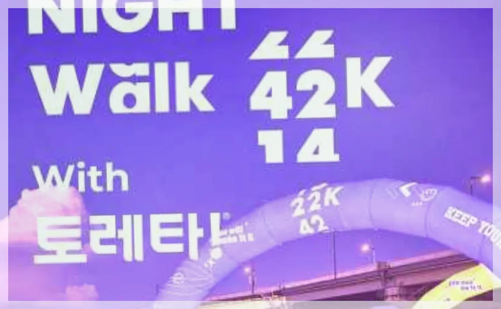 2026 한강나이트워크42K with 토레타! 공식 API 제공 축제 사진을 포스트 톤에 맞춰 보정한 이미지