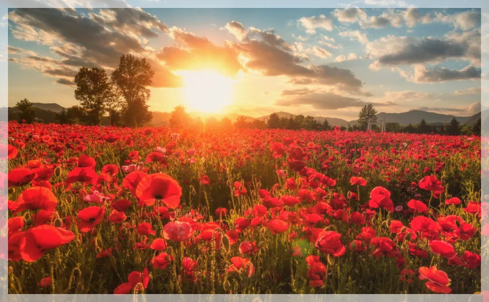 Korea travel reference photo