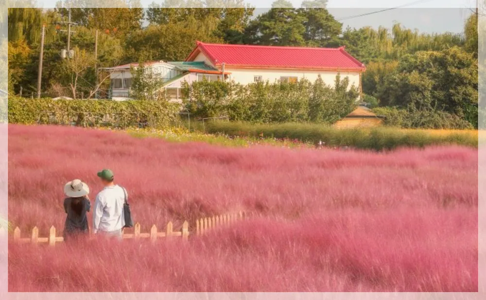 바람새마을 관광사진을 포스트 톤에 맞춰 보정한 이미지