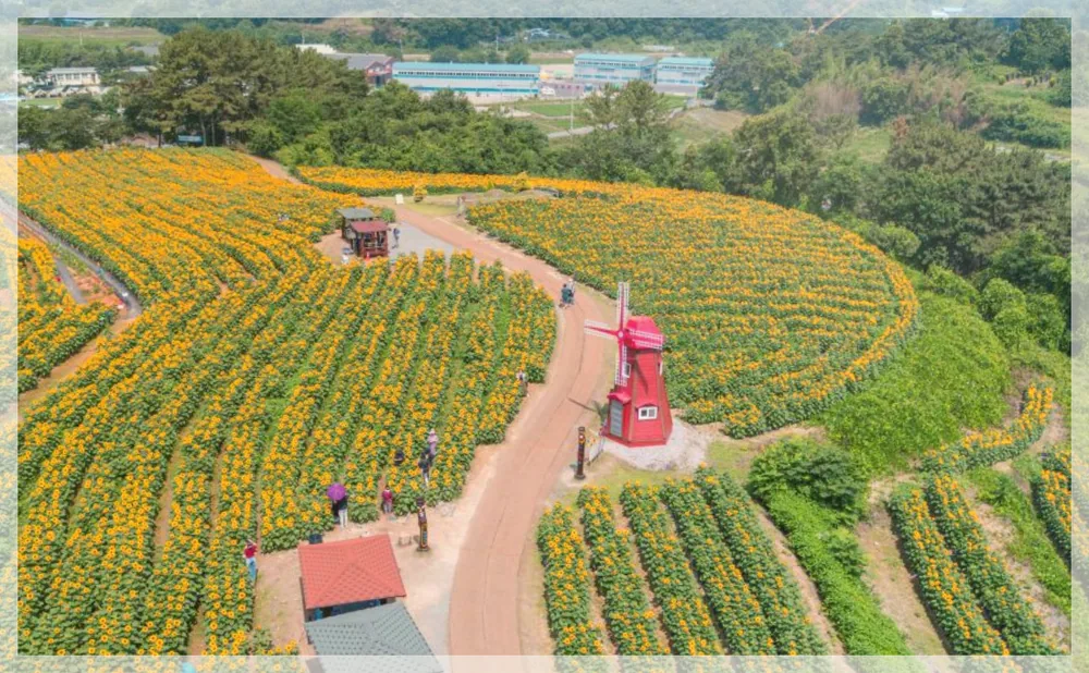 Korea travel reference photo