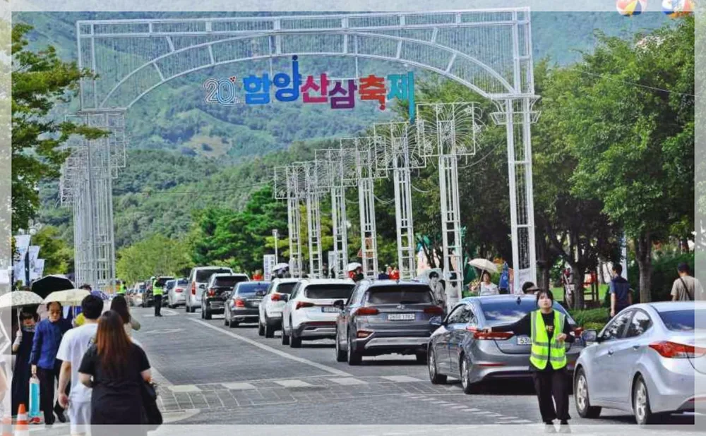 함양산삼축제 공식 API 제공 축제 사진을 포스트 톤에 맞춰 보정한 이미지