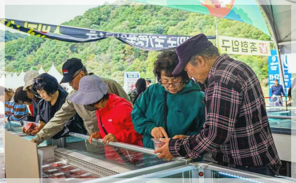 횡성한우축제 공식 API 제공 축제 사진을 포스트 톤에 맞춰 보정한 이미지